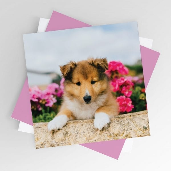 Puppy in the Flowers Card