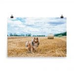Amongst the Hay Bales Matte Print