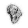 Hand Drawn Style