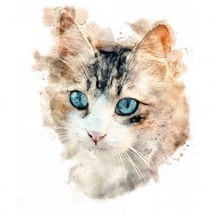 Watercolour Style