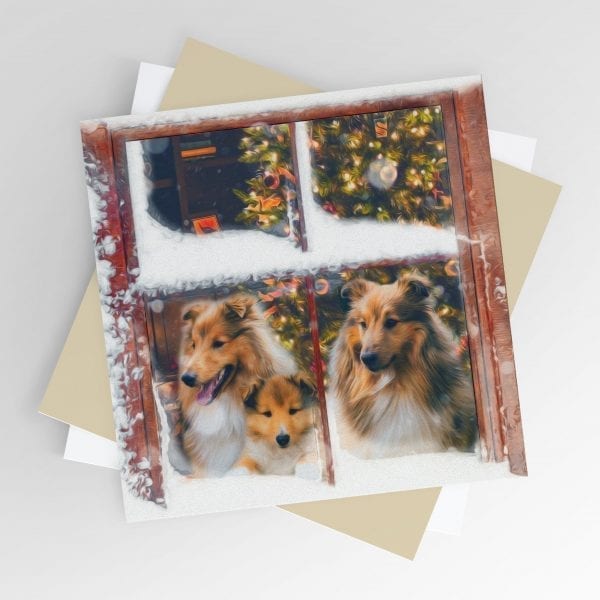 Sheltie Christmas Cards