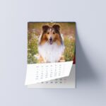 I Love Shelties Calendar 2023 PREORDER